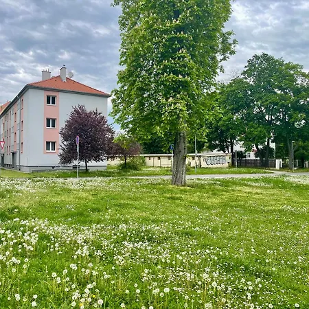 Park, 24h Checkin & Centre W Free Parking Apartment *